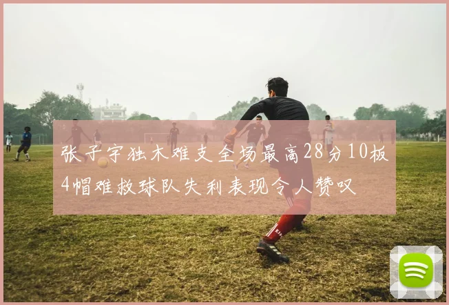 张子宇独木难支全场最高28分10板4帽难救球队失利表现令人赞叹