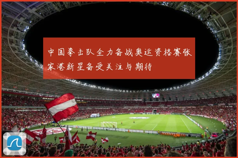 中国拳击队全力备战奥运资格赛张家港新星备受关注与期待